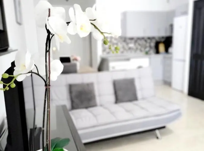 Sea Sun And Lejlighed